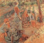 Apple picking Camille Pissarro